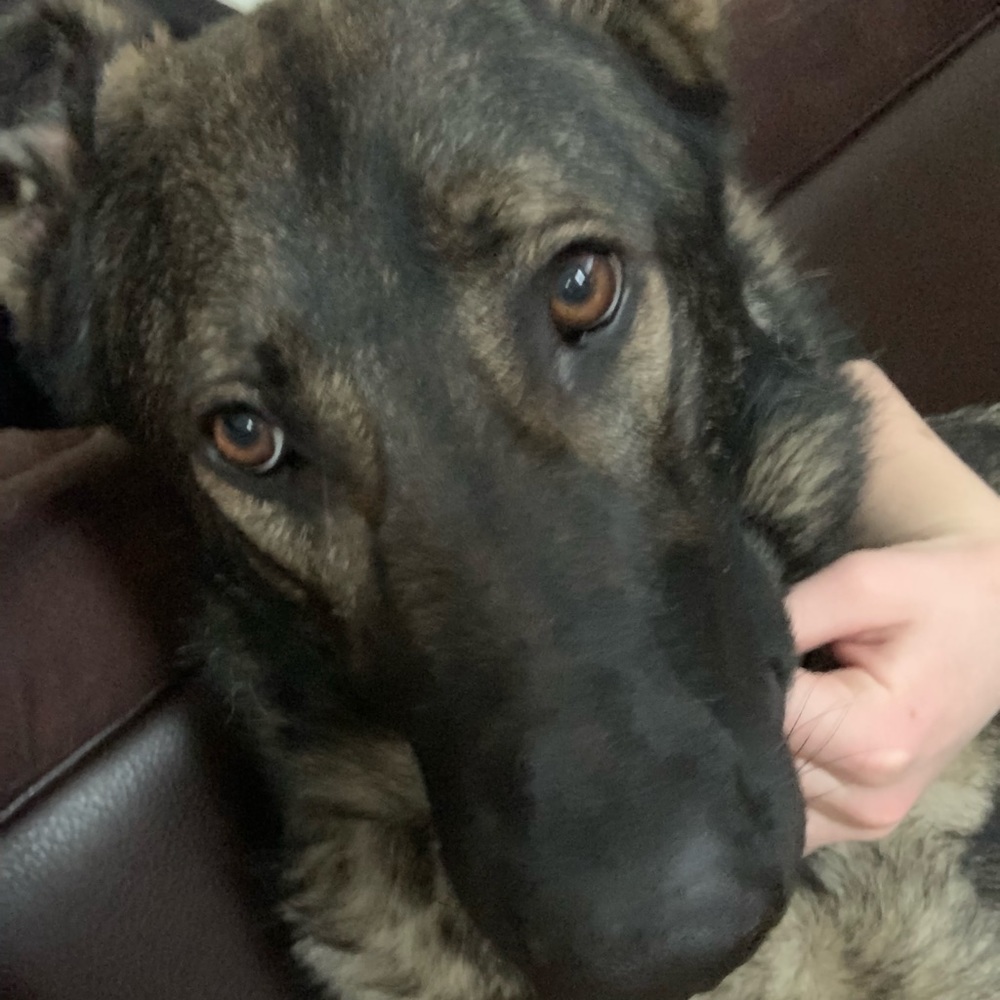 Meet your Posher, Kacy